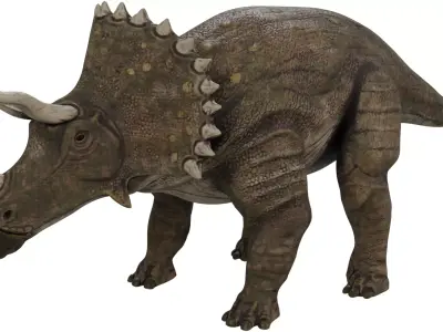 Triceratops 3D model buy