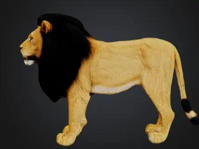 lionn 3D model