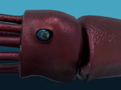 Squid with long tentacles 3D model