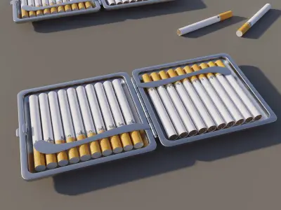 Cigarette Case Leather Closed and Open With 2 Color 3D model