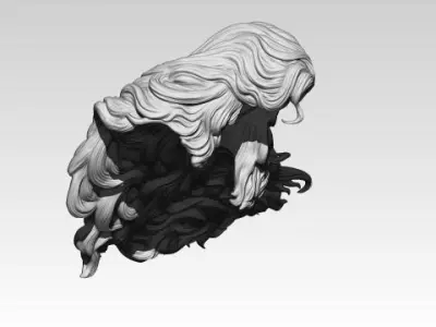 Woman Girl Hair 3D print model