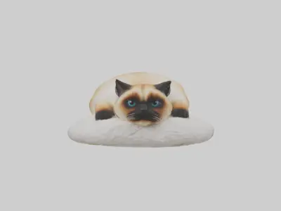 Himalayan Cat resting model Low-poly 3D model
