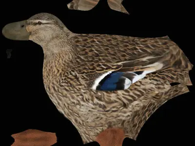 Charming Duck Model 3D model