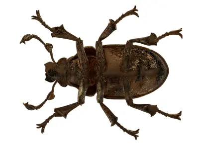 Golden Mechanical Stag Beetle 3D Model 3D model