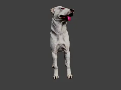 Dog Animal Low-poly 3D model order