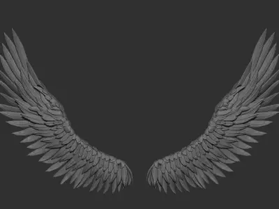 Wings pair of angel Free 3D print model