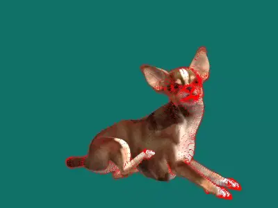Chihuahua Dog Free 3D model
