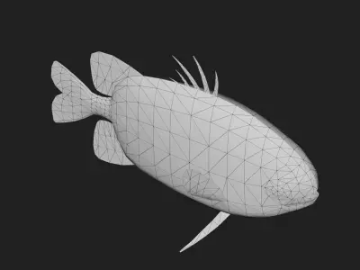 Snapper Low-poly 3D model 4