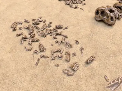 Fossil Bones and Skulls - Collection Low-poly 3D model