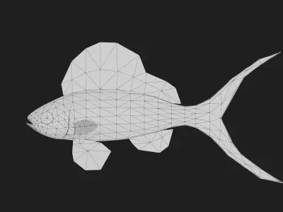 Serranidae Low-poly 3D model order