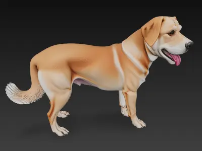 Dog Realistic 3D Model - Low Poly Realistic Low-poly 3D model
