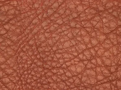 Mortar and Plastering Tools 3D model