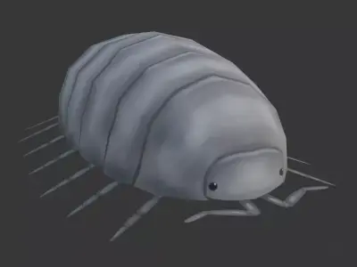 Low Poly Rolly Polly 3D model