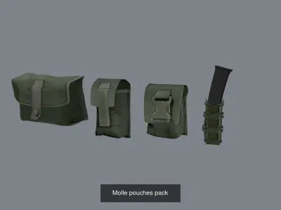 Molle pouches pack