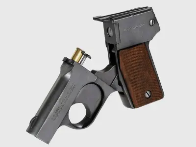 PBR Mossberg Brownie Derringer Low-poly 3D model