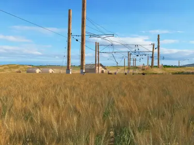 Train through rice fields 3D model