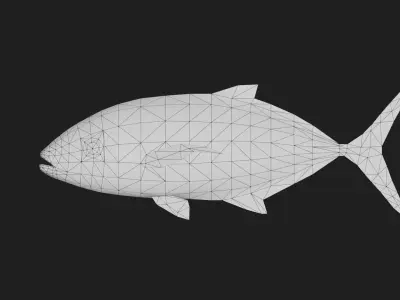 Trevally Low-poly 3D model 4