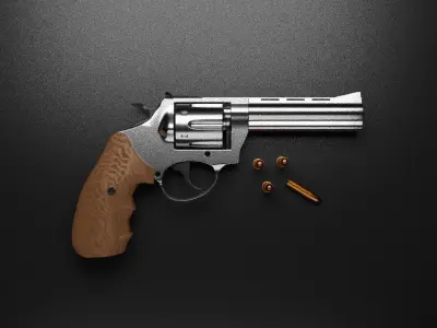 Immersive Revolver  3D model