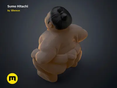 Sumo Hitachi - 3D print model  3D print model