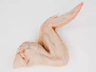 3d scanned Chicken wings  3D model