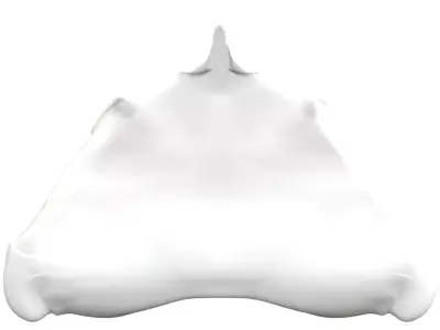 cyber raptor head 3D model purchase