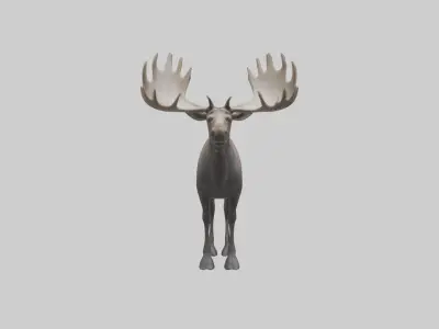 Moose deer Low-poly 3D model
