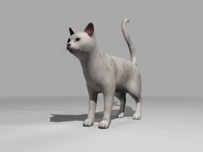 White Cat Rigged Low-poly 3D model