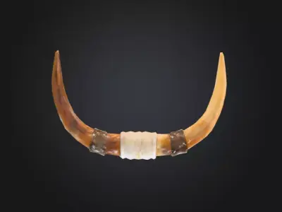 Car RoofTop Horn Ornament Low-poly 3D model