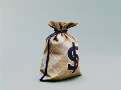 Bag with money 3D model