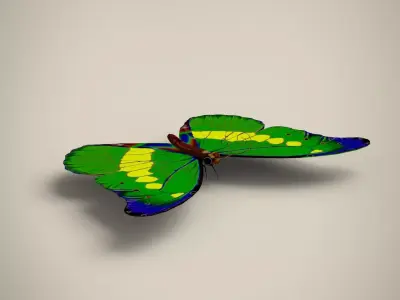 Butterfly Low-poly 3D model shop