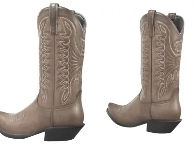 Brown Western Boots(1) 3D model