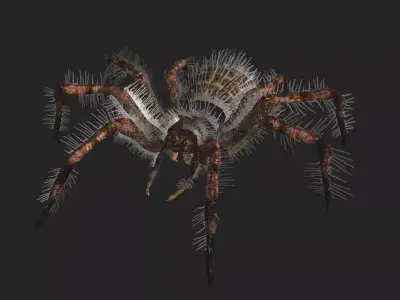 Spider rigged Low-poly 3D model