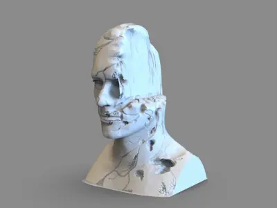 Broken Bust 3D print model