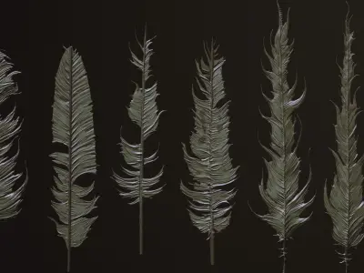 FEATHERS - 40 High poly sculpts and IMM Brush 3D model