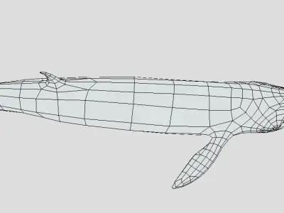 Low Poly Whale Game Asset Low-poly 3D model