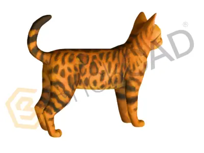 Cat 3D Model High Detail Realistic or Stylized 3D model