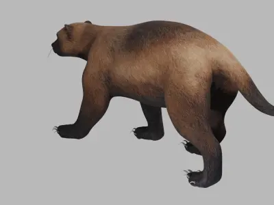 Wolverine 3D model