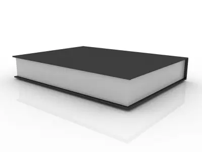 Black Book 3D model