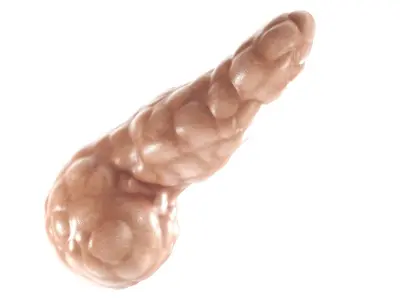 Pancreas PBR 3D model