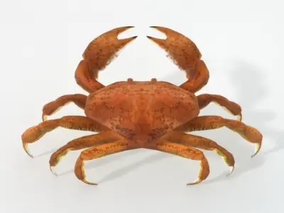 Crab crustaceans Low-poly 3D model