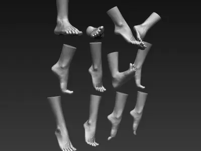 12 Female Feet 3D model