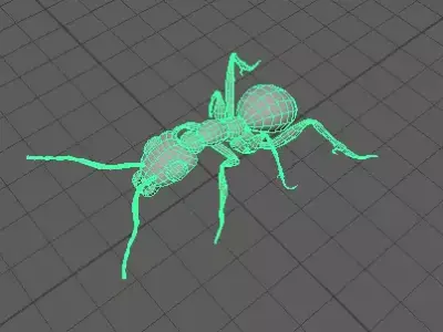 Ant 3D model fbx 3D model