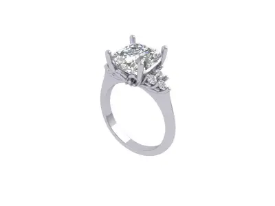 Cushion Ring 3D print model 3