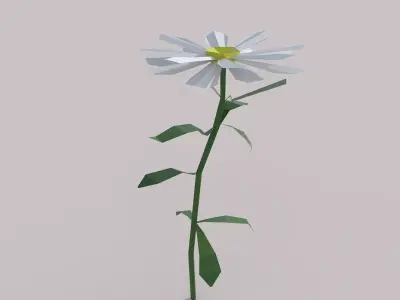Flower Free low-poly 3D model