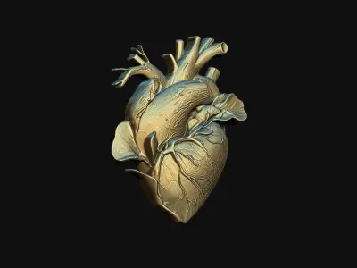 Heart 03 3D print model purchase