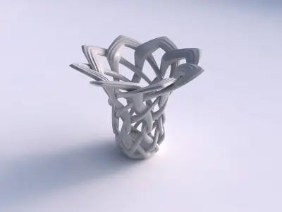 Vase wide on top part with interlacing lattice and extruded l... 3D print model purchase