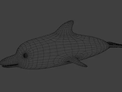  Dolphin 3D Model Low-poly 3D model