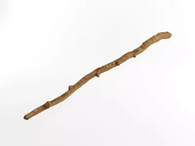 Wooden Stick Branch Staff Low Poly Game Ready asset 3D model 2 Low-poly 3D model