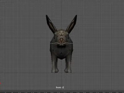 rabbit bunny  hare 3D model