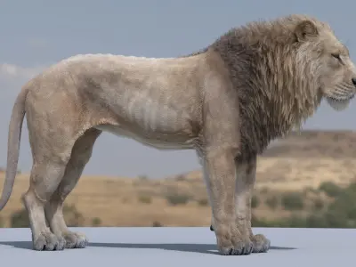Lion 3D model
